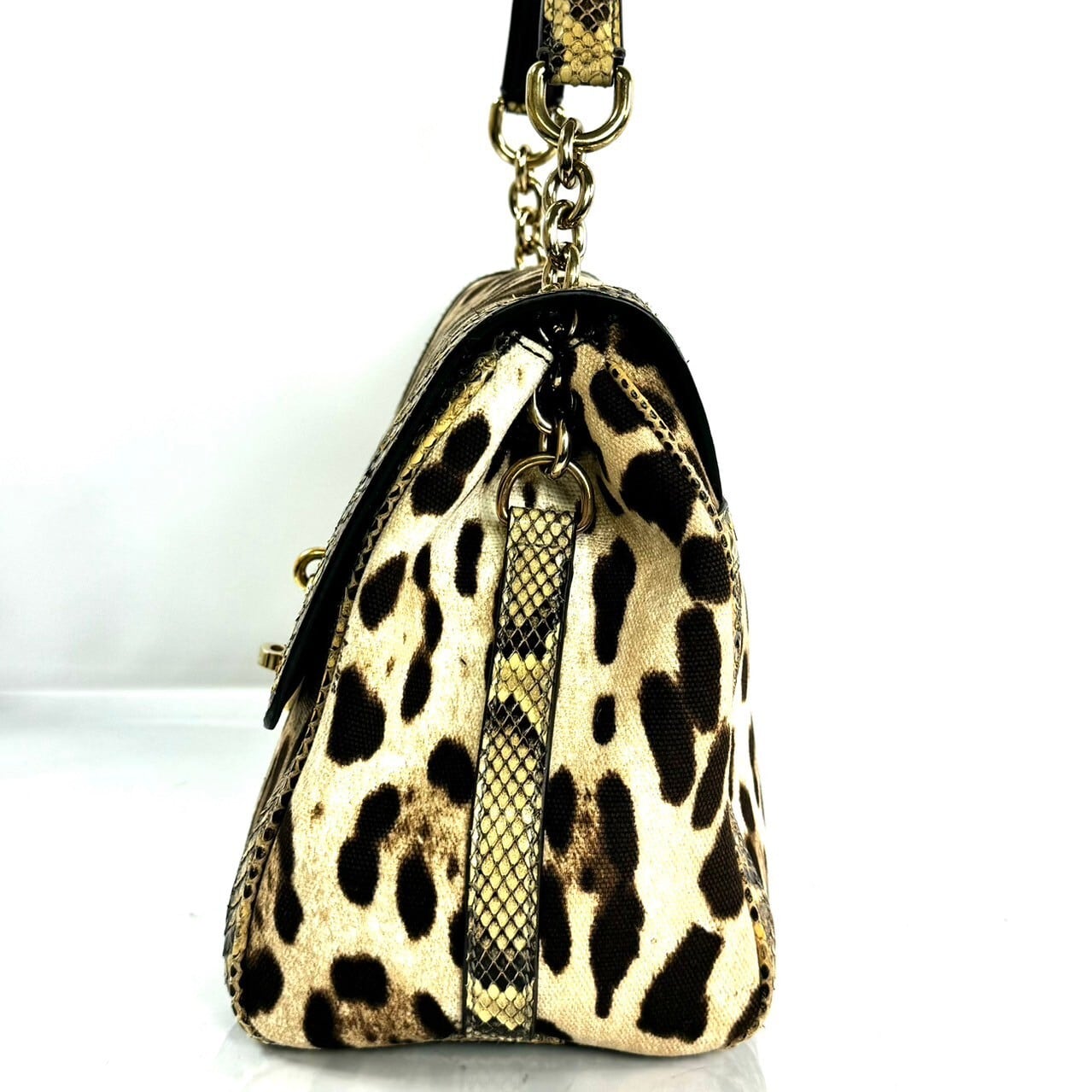 【希少】ドルチェアンドガッバーナ Dolce&Gabbana D&G バンドバッグ 2way レオパード パイソン キャンバス