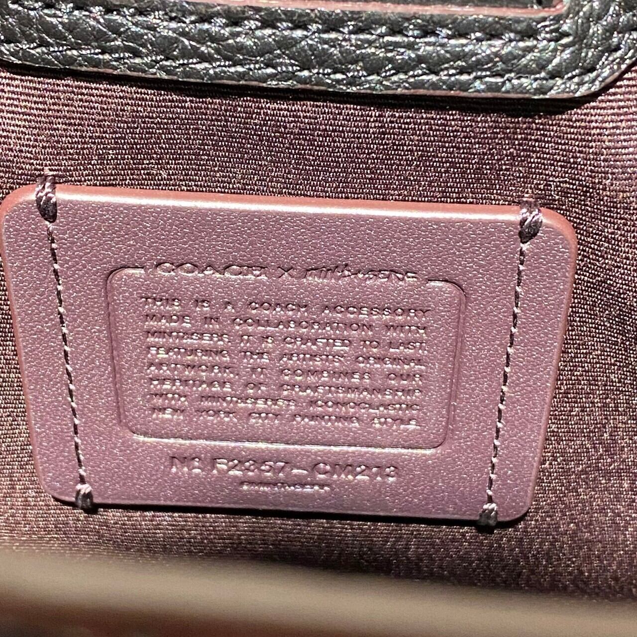 【ほぼ未使用】コーチ Coach CM213 ミニトートバッグ ミント&サーフ マルチカラー