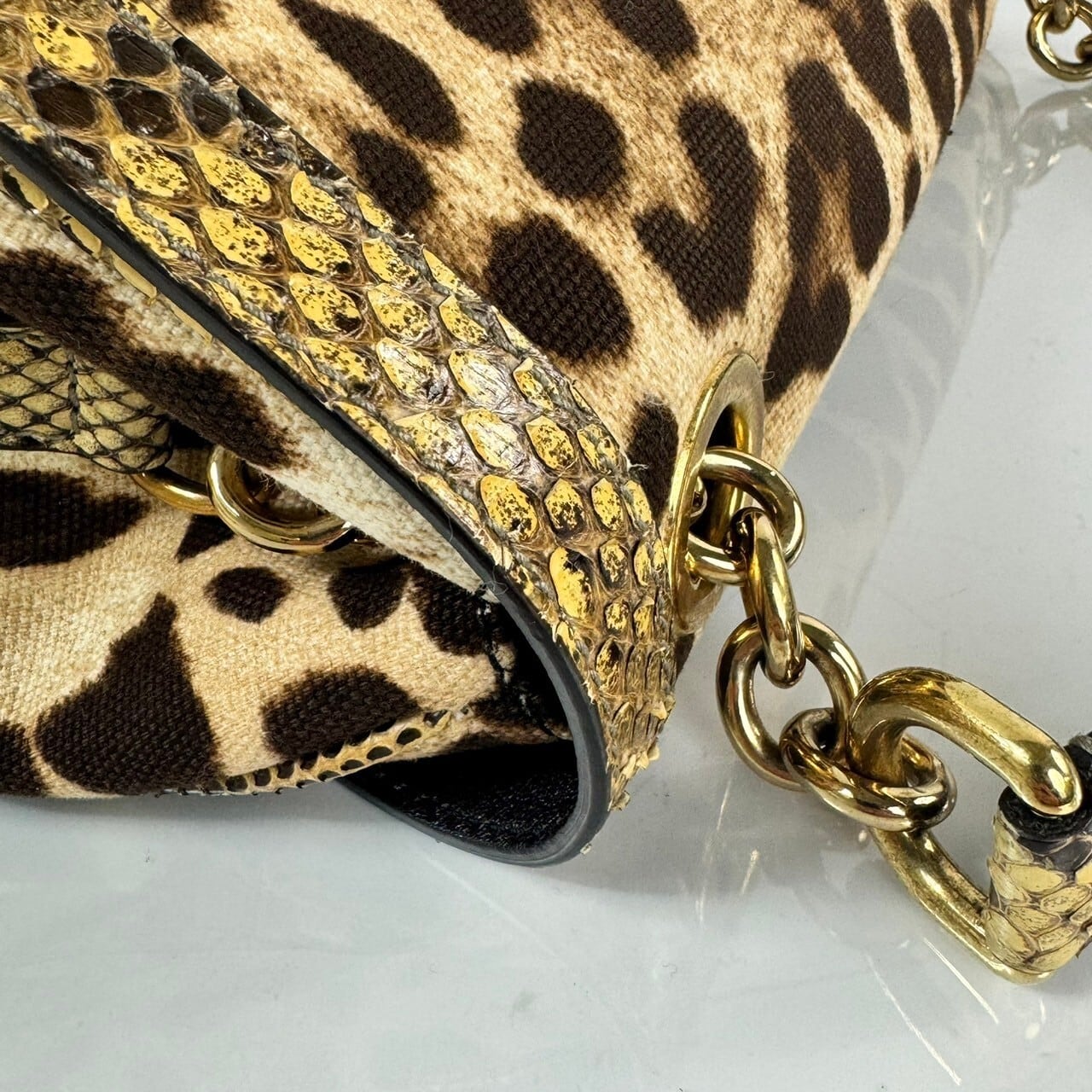 【希少】ドルチェアンドガッバーナ Dolce&Gabbana D&G バンドバッグ 2way レオパード パイソン キャンバス