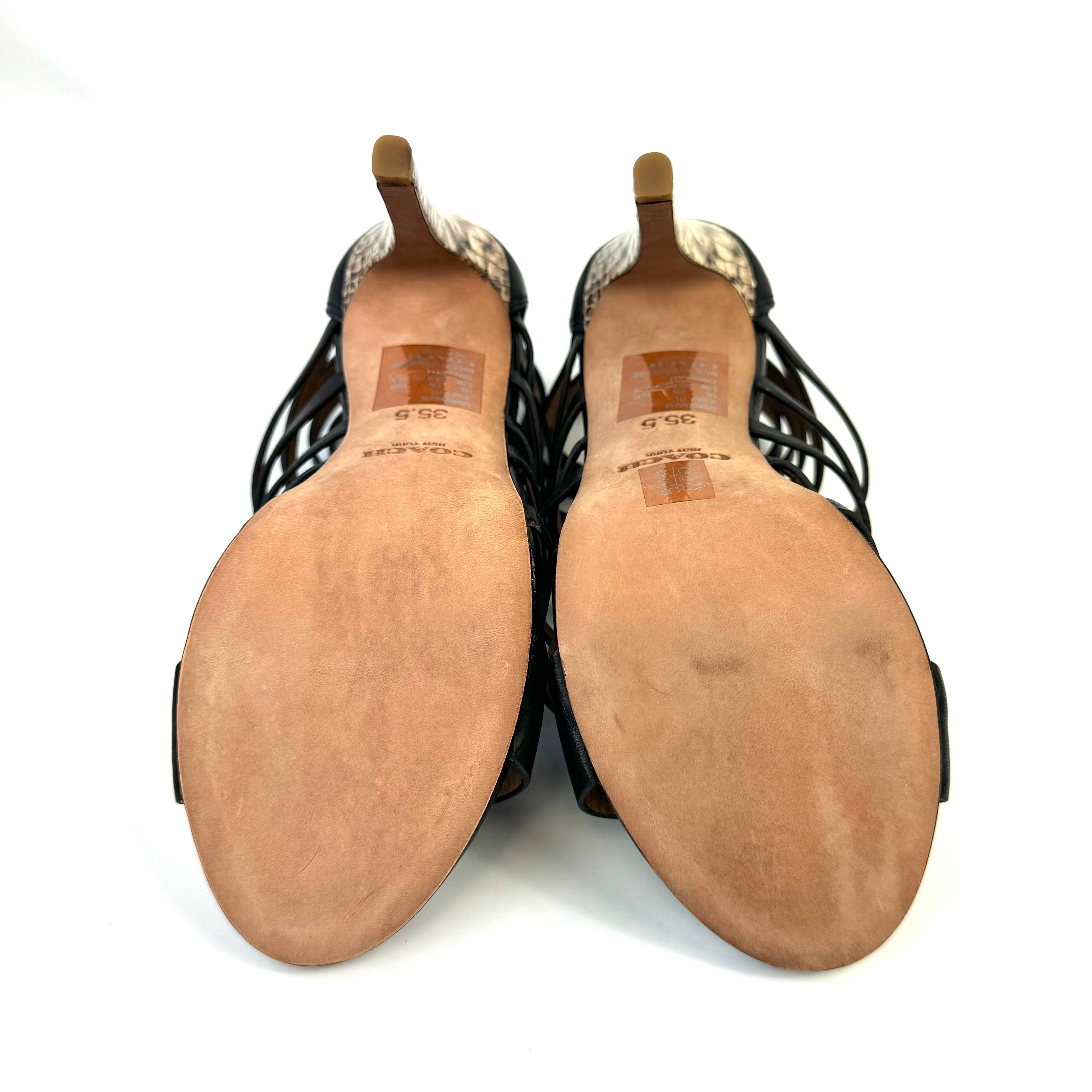 【美品】コーチ グラディエーターサンダル ピンヒール パイソン 黒 22.5cm