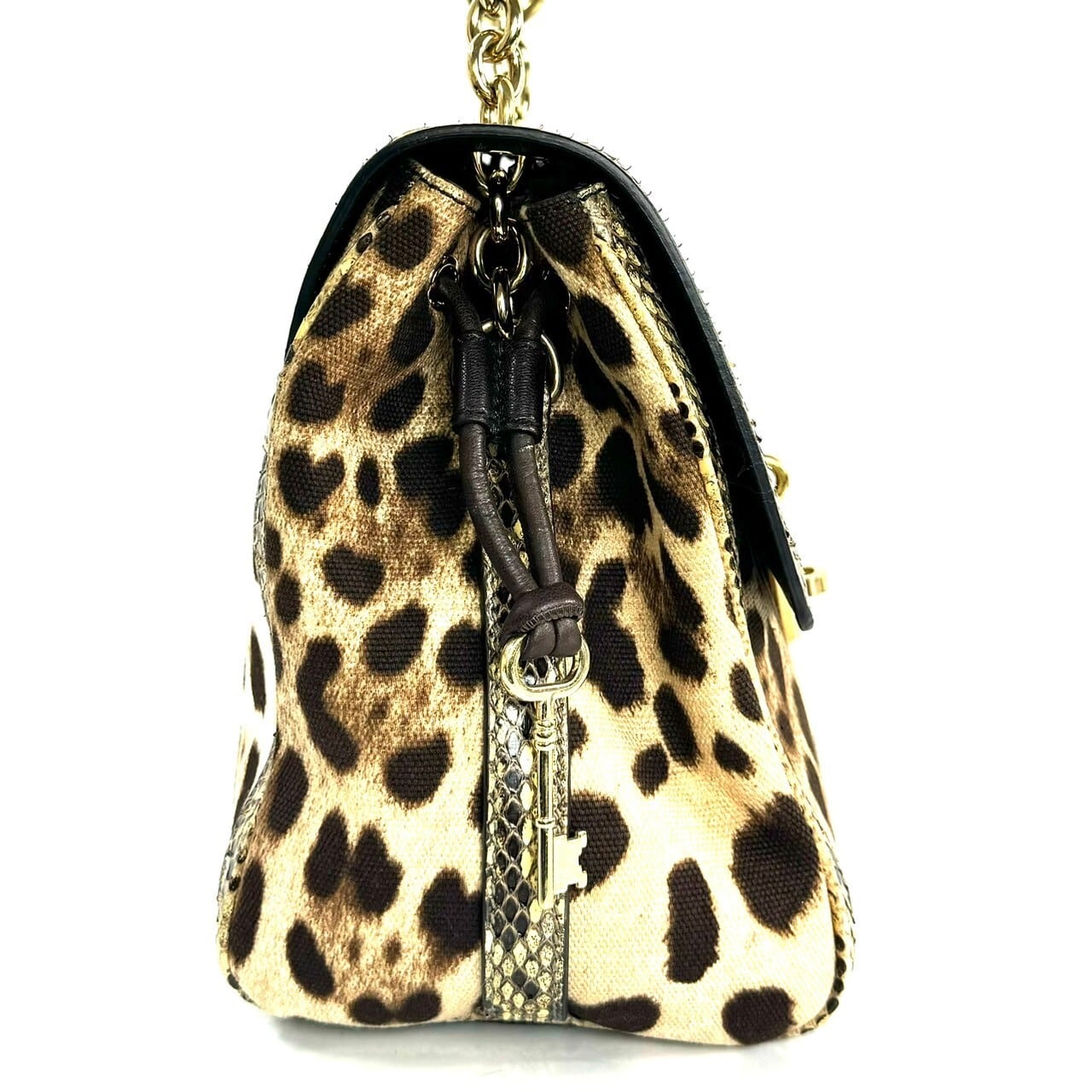 【希少】ドルチェアンドガッバーナ　Dolce&Gabbana　D&G　バンドバッグ　2way　レオパード　パイソン　キャンバス